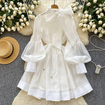 Vintage Lace-up Chic Lantern Sleeves Slim Long Dress