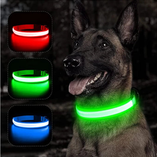 Rechargeable Luminous Collar Adjustable Led Glowing Dog